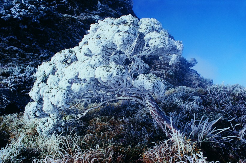 冬季风景图片