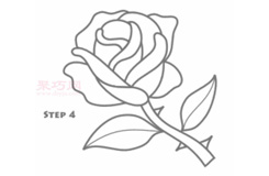 简易画玫瑰花的步骤 画玫瑰花的简笔画图片