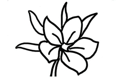 四步怎么画樱花 来看樱花简笔画画法