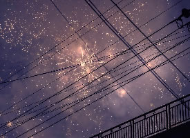 夜空盛放的烟花雨电线交织的图片