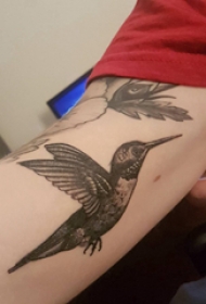 手臂纹身图片 男生手臂上黑色的蜂鸟纹身图片