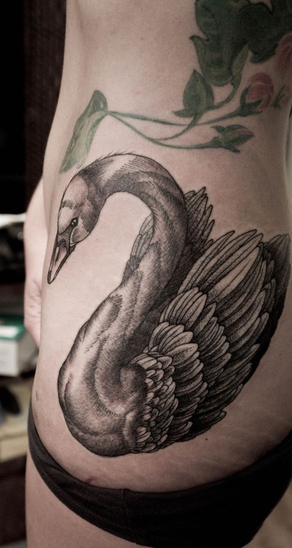黑天鹅纹身图案 天鹅纹身刺青图片