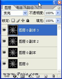 Photoshop制作一款电光特效的花朵