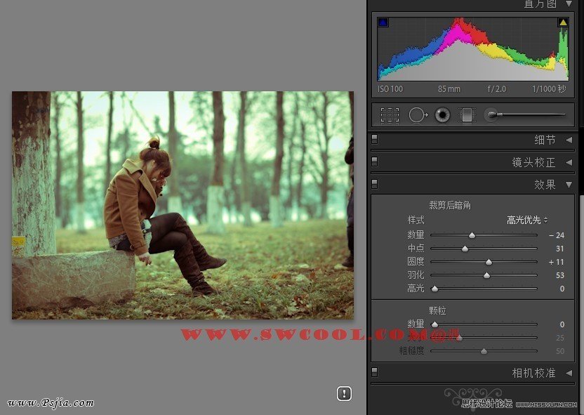 Photoshop调出外景照片欧美冷艳色调,PS教程,PS家园网