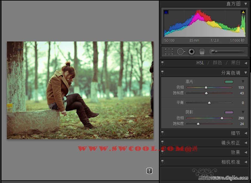 Photoshop调出外景照片欧美冷艳色调,PS教程,PS家园网
