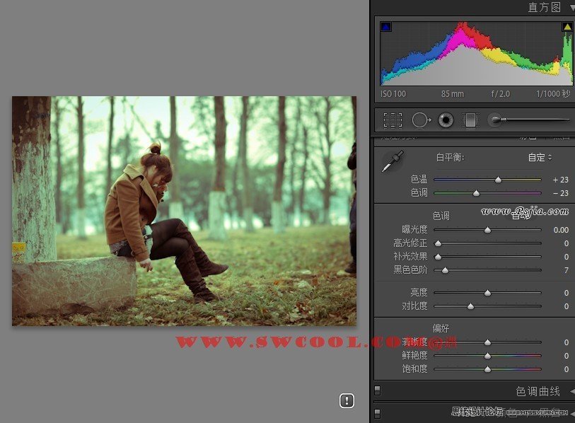 Photoshop调出外景照片欧美冷艳色调,PS教程,PS家园网