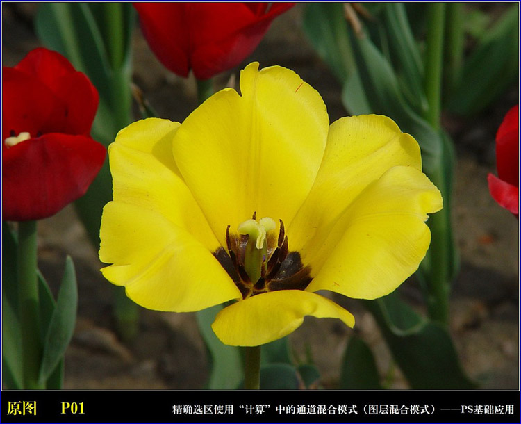 按此在新窗口浏览图片