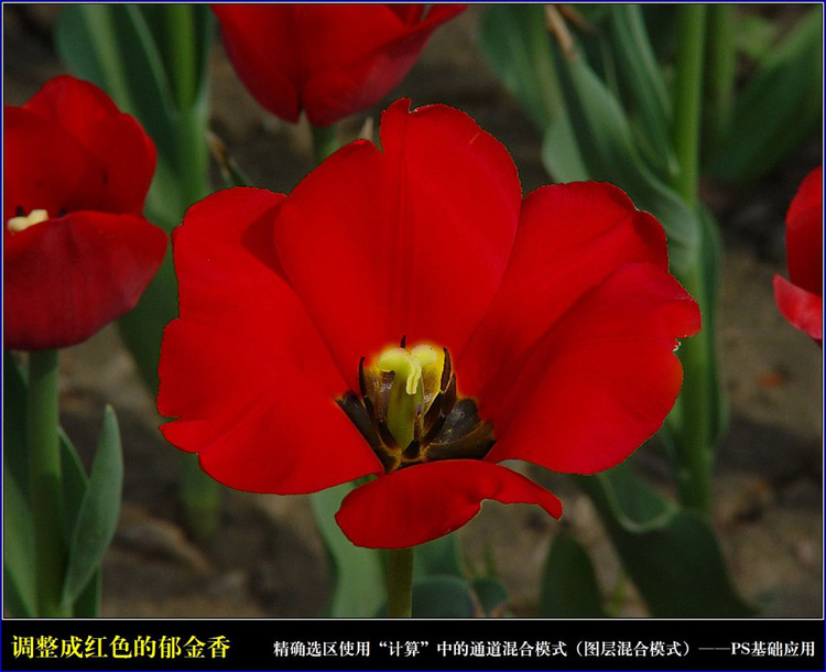 按此在新窗口浏览图片