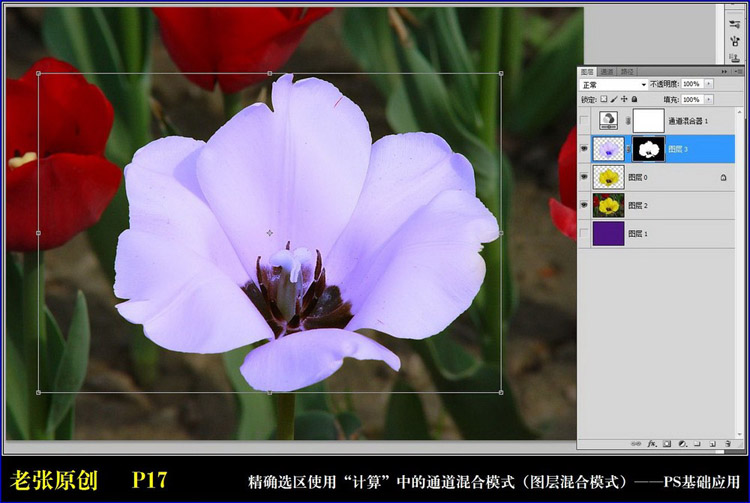 按此在新窗口浏览图片