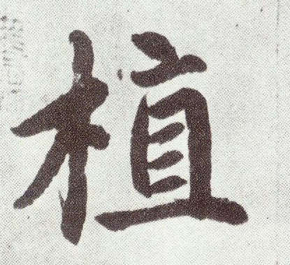 植(楷书字帖)