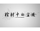 水墨文字效果制作