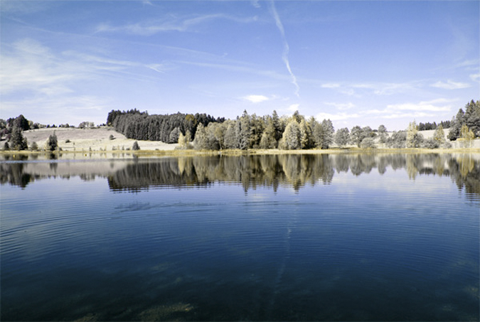 monihongwaixian7 5步教你用PS模拟红外线