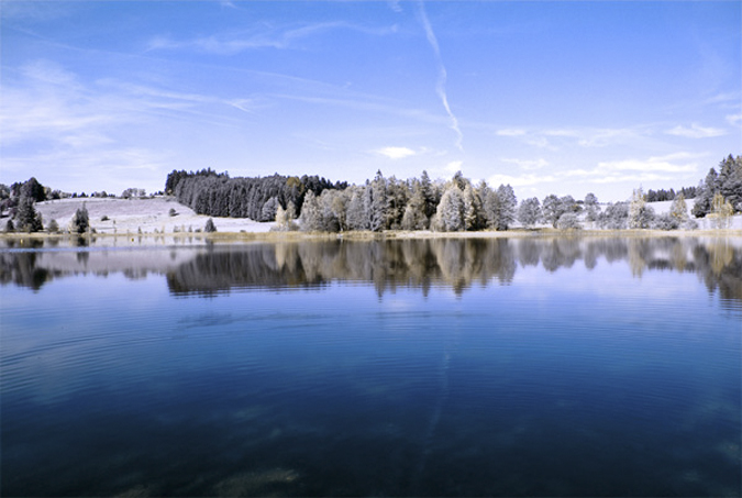 monihongwaixian9 5步教你用PS模拟红外线