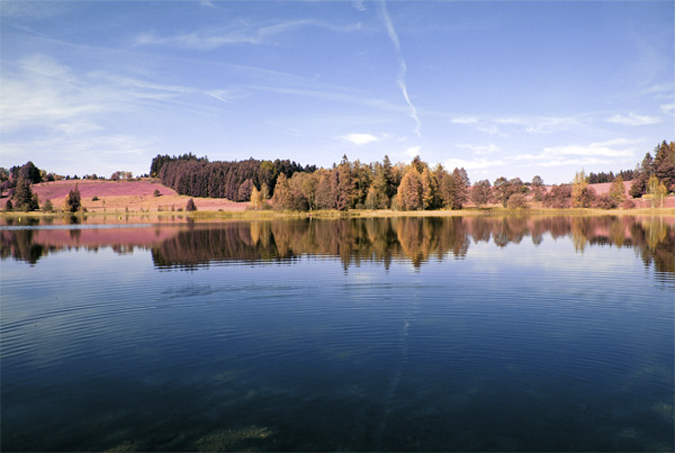 monihongwaixian6 5步教你用PS模拟红外线