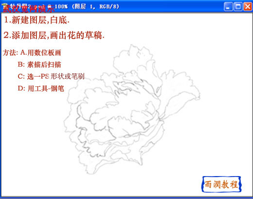 PS绘牡丹花