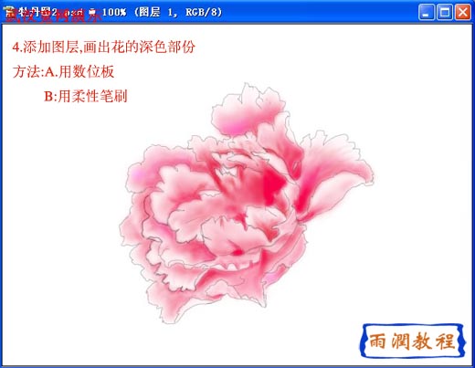 PS绘牡丹花