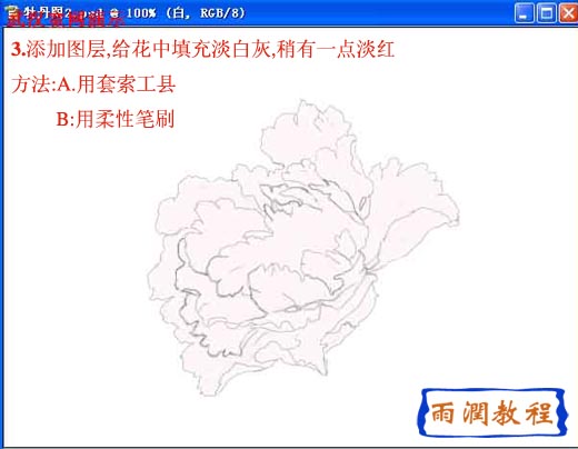 PS绘牡丹花