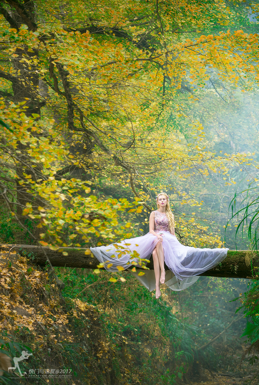 《秋天的童话》深秋森林唯美摄影作品,PS教程,PS家园网