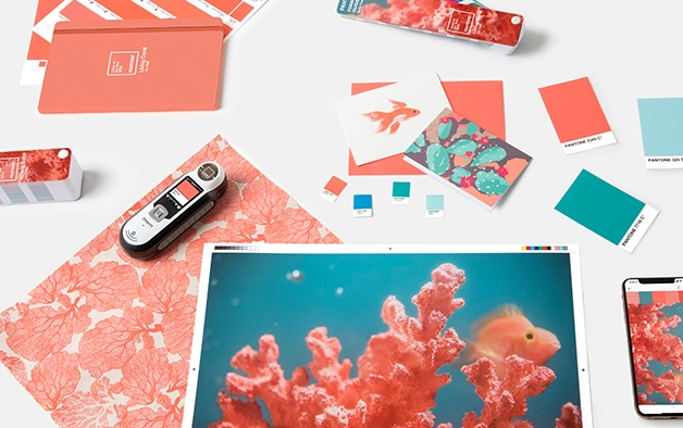 Shutterstock2019年色彩趋势：探索世界上最流行的色彩