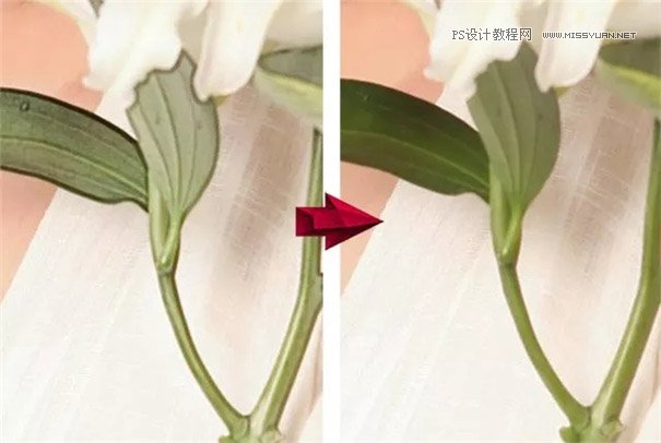 工笔画效果：制作人像工笔画效果,PS教程,PS家园网