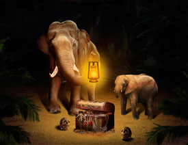 用PS合成动物神秘探宝场景