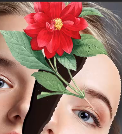 创意人像：用PS添加创意的花朵人物头像,PS教程,PS家园网