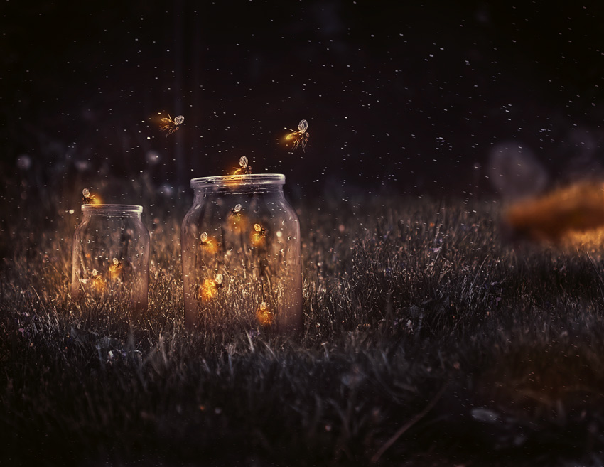 梦幻场景：PS合成唯美的萤火虫场景,PS教程,PS家园网