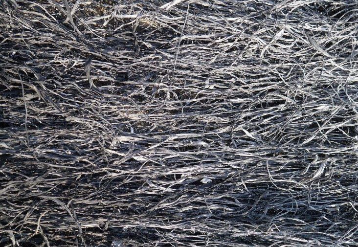 Photoshop调出外景冷色草木灰色调艺术效果,PS教程,PS家园网