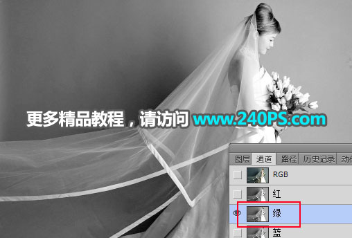Photoshop快速抠出昏暗背景中的婚纱照,PS教程,PS家园网