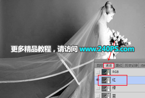 Photoshop快速抠出昏暗背景中的婚纱照,PS教程,PS家园网