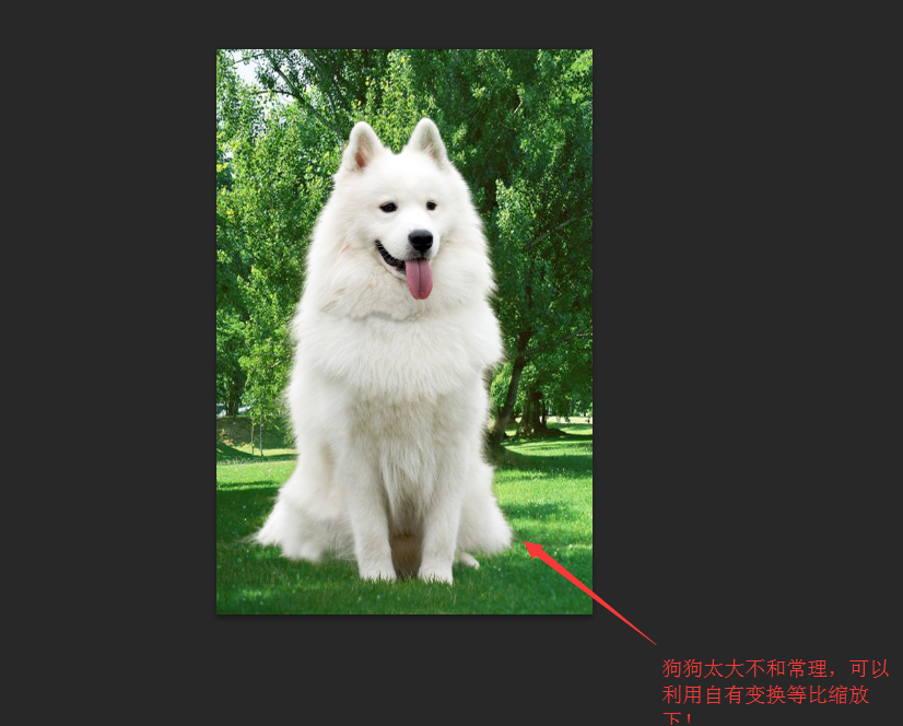 Photoshop详细解析如何抠出毛茸茸的小狗,PS教程,PS家园网