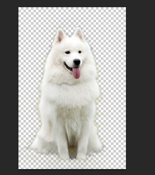 Photoshop详细解析如何抠出毛茸茸的小狗,PS教程,PS家园网