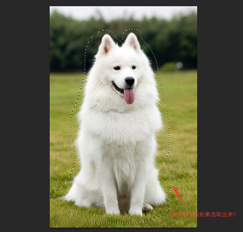 Photoshop详细解析如何抠出毛茸茸的小狗,PS教程,PS家园网