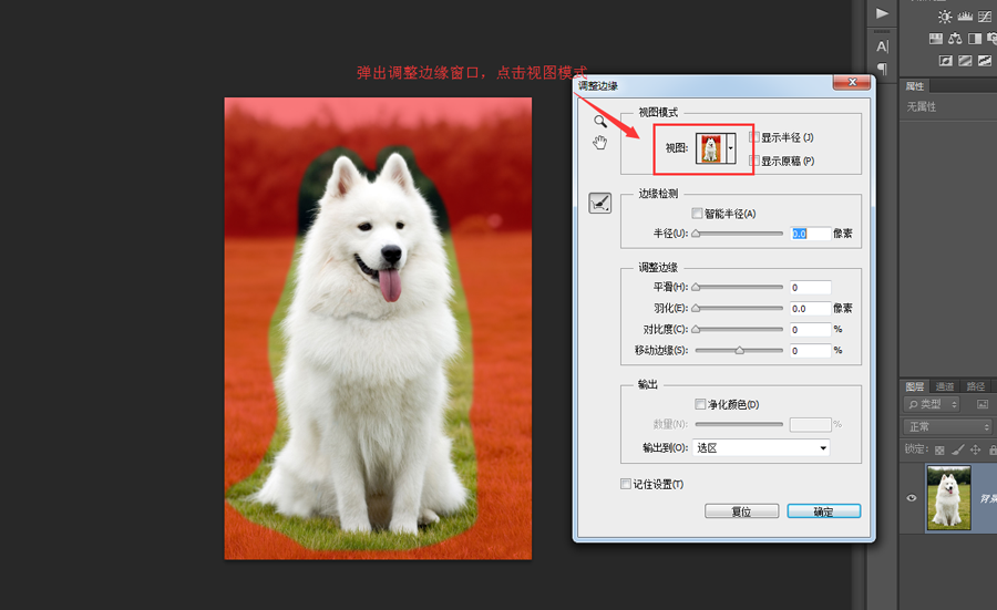 Photoshop详细解析如何抠出毛茸茸的小狗,PS教程,PS家园网