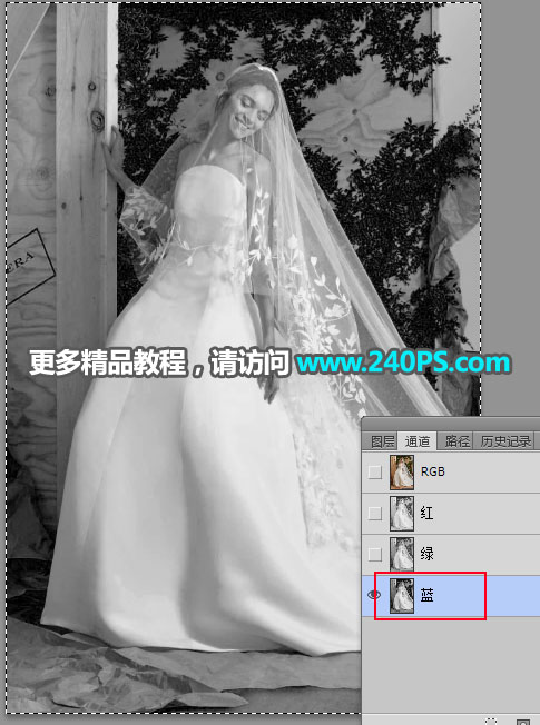 Photoshop完美抠出穿着透明婚纱的新娘,PS教程,PS家园网