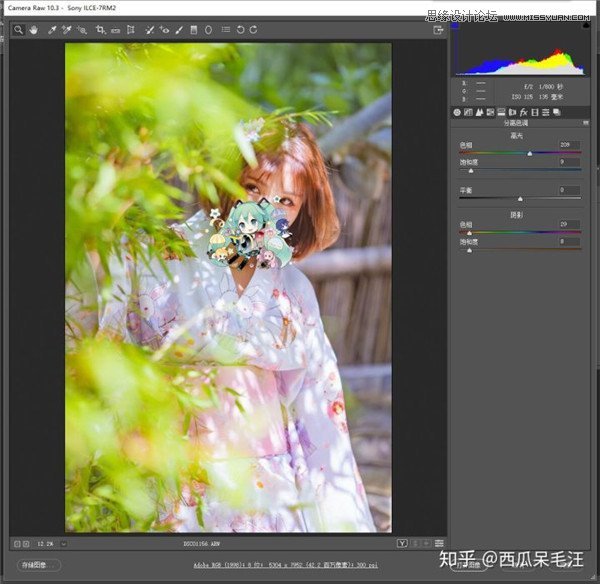 Photoshop调出夏季外景人像甜美小清新效果,PS教程,PS家园网