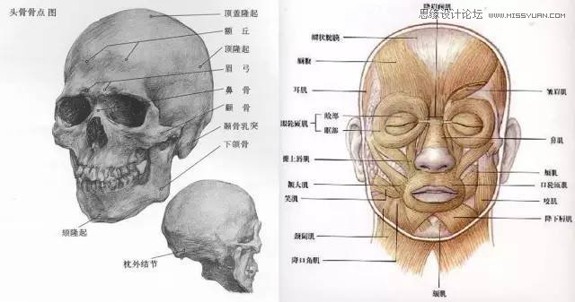 Photoshop详细解析商业大片皮肤修饰教程,PS教程,PS家园网
