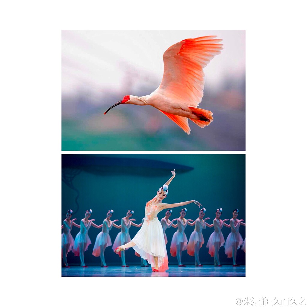 Photoshop制作唯美仙境场景的古风人像,PS教程,PS家园网