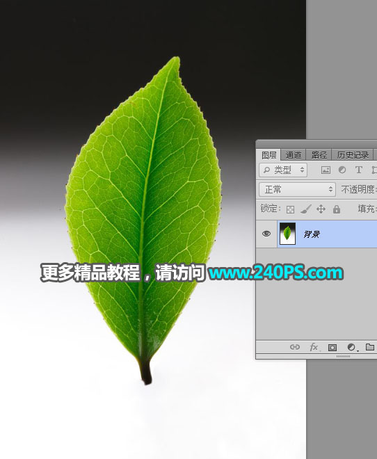 Photoshop合成创意的树叶中的茶山教程,PS教程,PS家园网