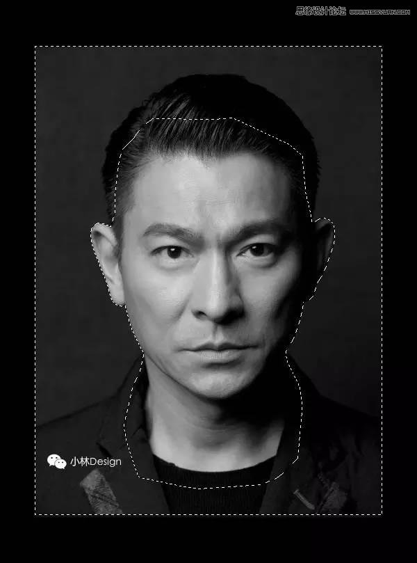 Photoshop快速把刘德华照片变成矢量效果,PS教程,PS家园网