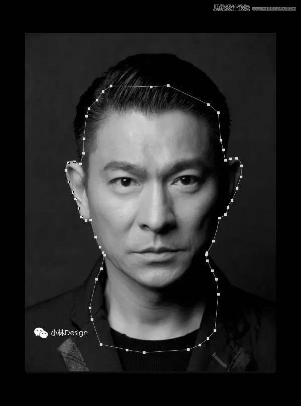 Photoshop快速把刘德华照片变成矢量效果,PS教程,PS家园网