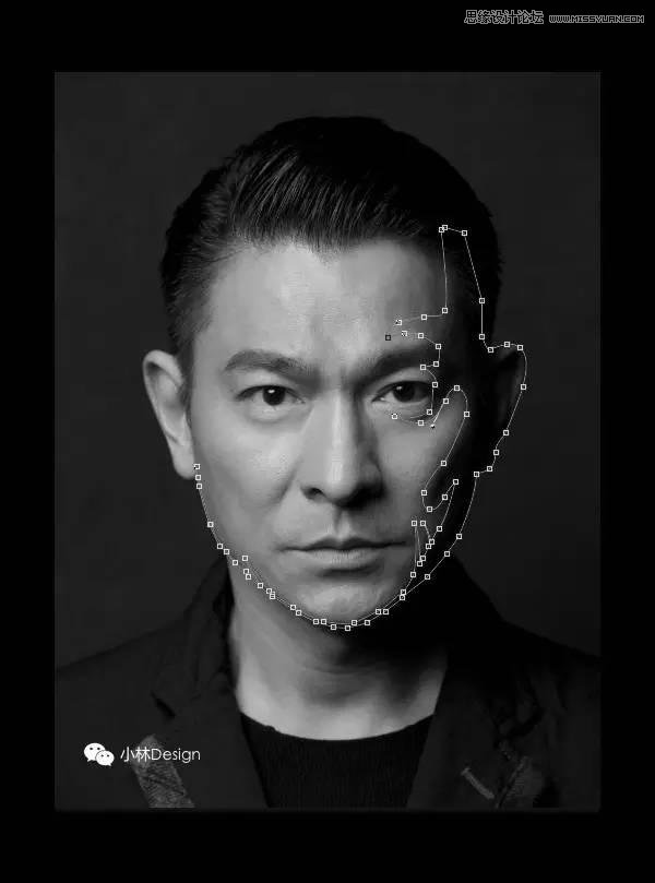 Photoshop快速把刘德华照片变成矢量效果,PS教程,PS家园网