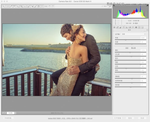 Photoshop调出复古风格外景婚纱照片,PS教程,PS家园网
