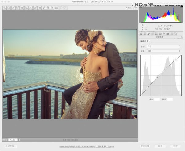 Photoshop调出复古风格外景婚纱照片,PS教程,PS家园网