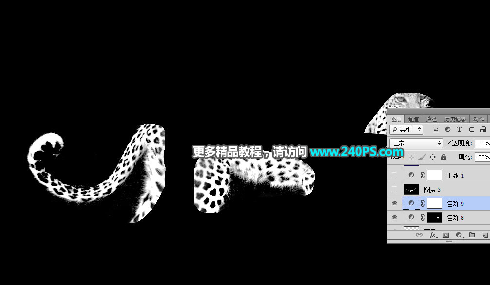 Photoshop巧用通道工具快速抠出豹子图像,PS教程,PS家园网