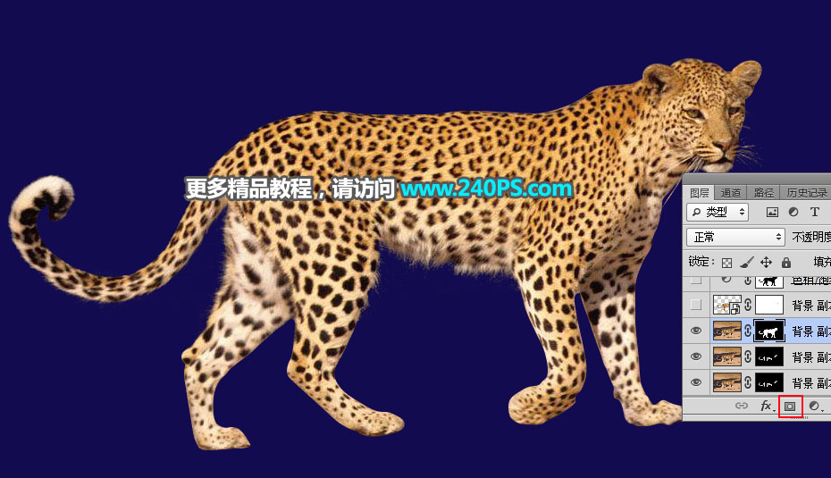 Photoshop巧用通道工具快速抠出豹子图像,PS教程,PS家园网