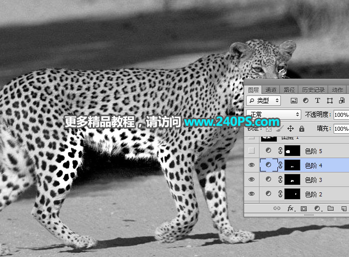 Photoshop巧用通道工具快速抠出豹子图像,PS教程,PS家园网