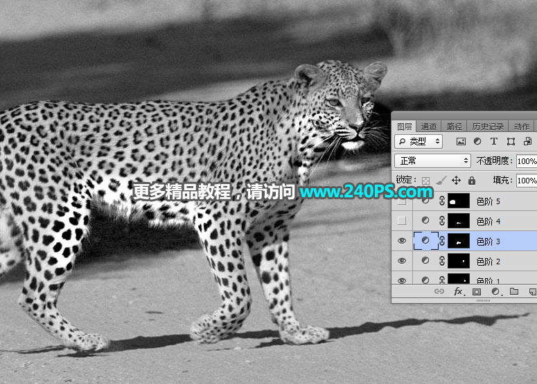 Photoshop巧用通道工具快速抠出豹子图像,PS教程,PS家园网