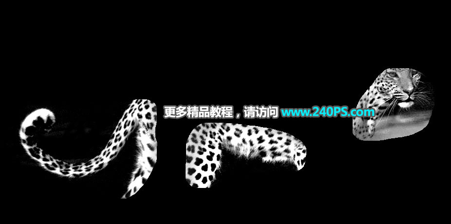 Photoshop巧用通道工具快速抠出豹子图像,PS教程,PS家园网