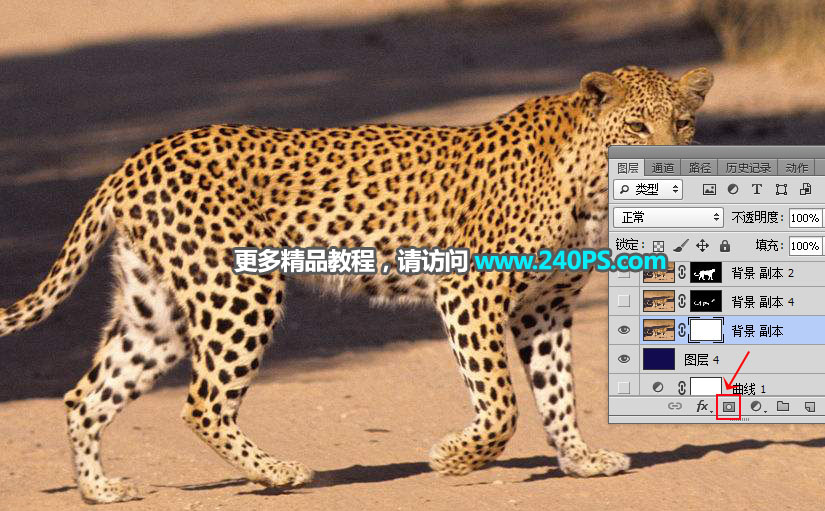 Photoshop巧用通道工具快速抠出豹子图像,PS教程,PS家园网